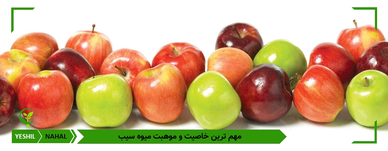 بهترین خاصیت های سیب برای بدن انسان