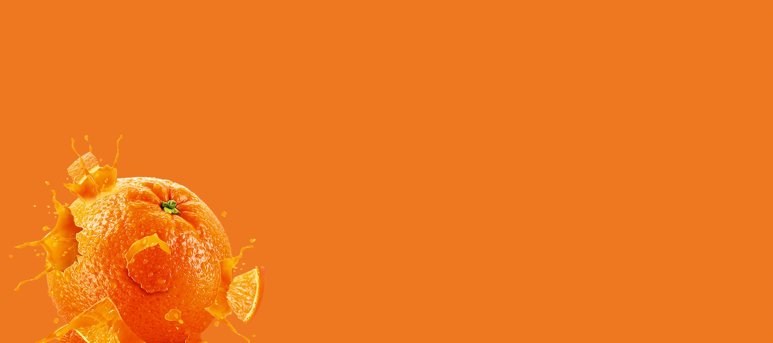 نهال پرتقال